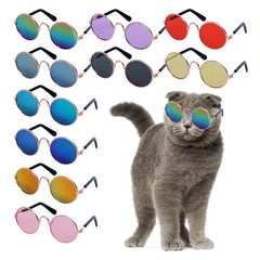 12 Pieces Pet Sunglasses